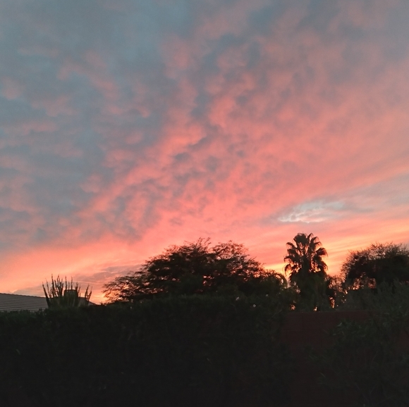 Meet your Posher - Picture 3 of 12